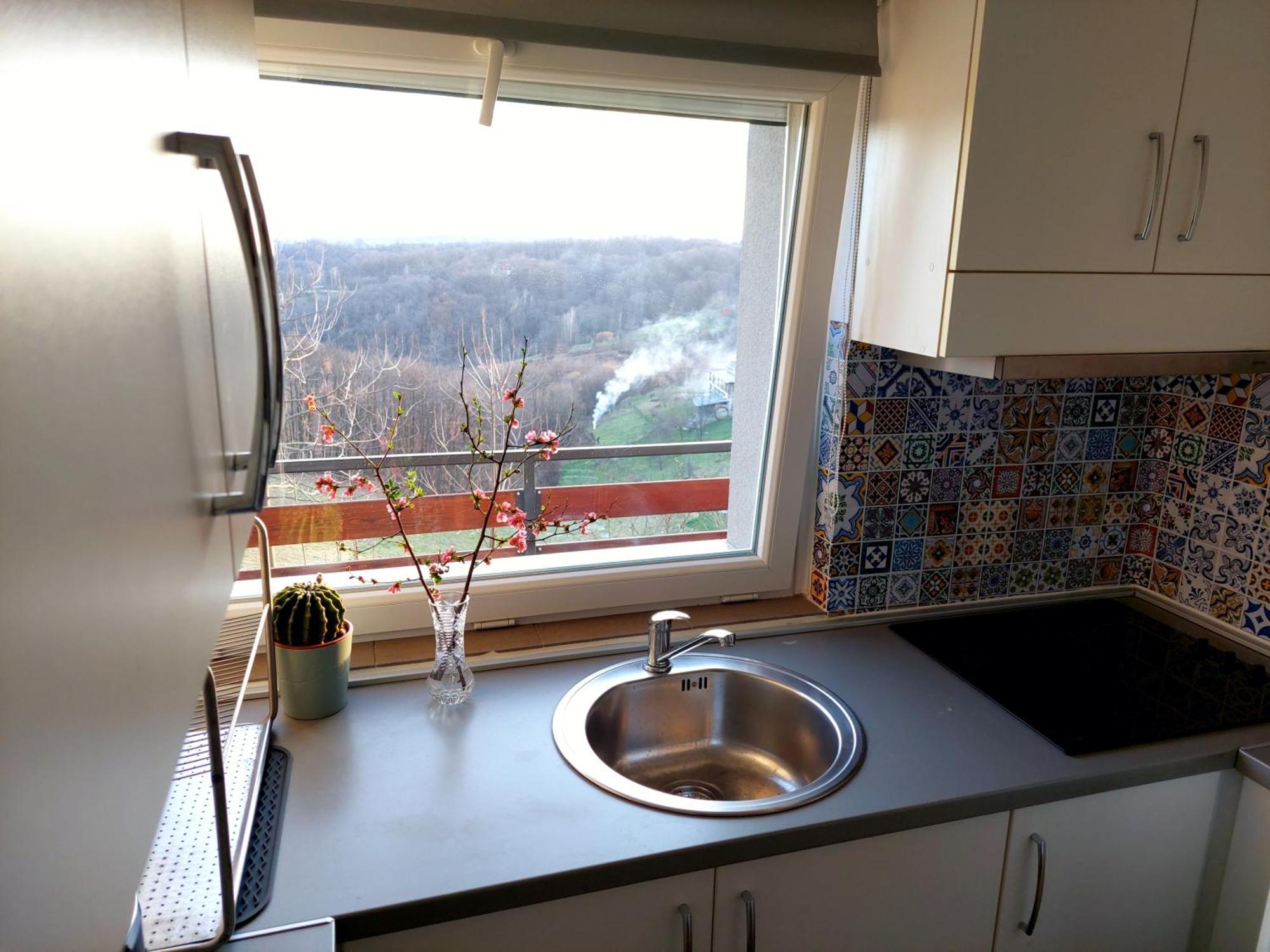 Apartman Masha Karlovac Dış mekan fotoğraf